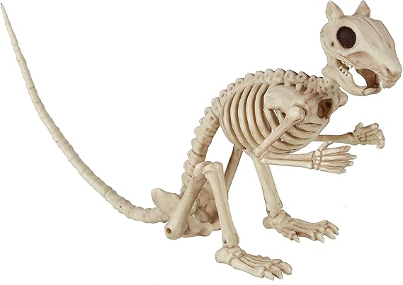 Skeleton Squirrel 3.5x15x5.5"