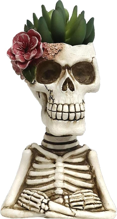 8.5" Skeleton Succulent A2