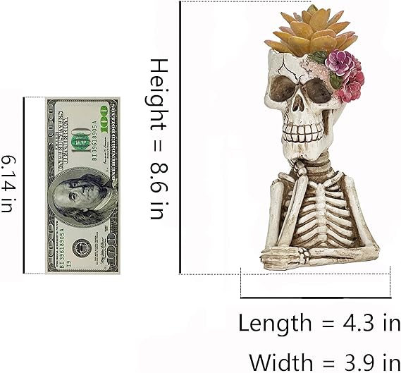 8.5" Skeleton Succulent A2