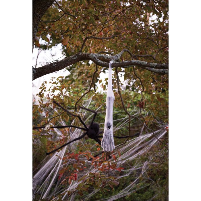 Spider Cocoon Body Limbs