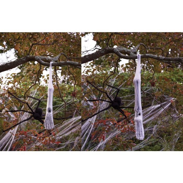 Spider Cocoon Body Limbs