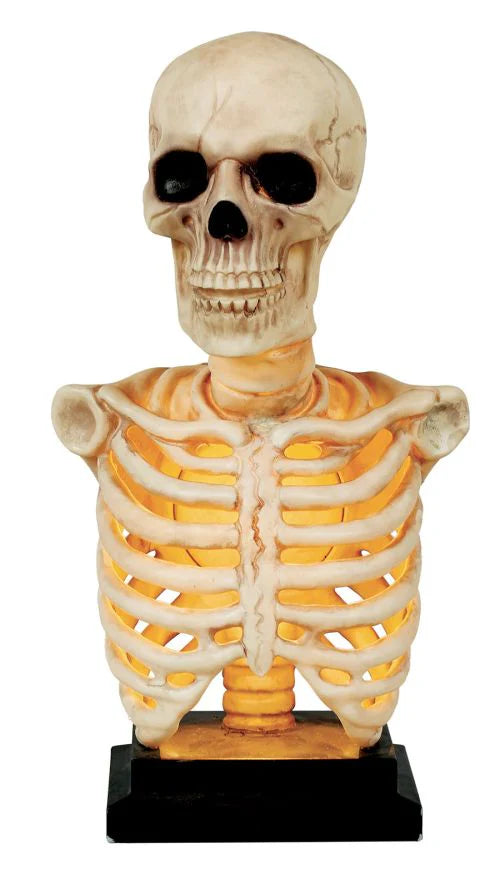 Skeleton Bust Light Up & Sound 16in