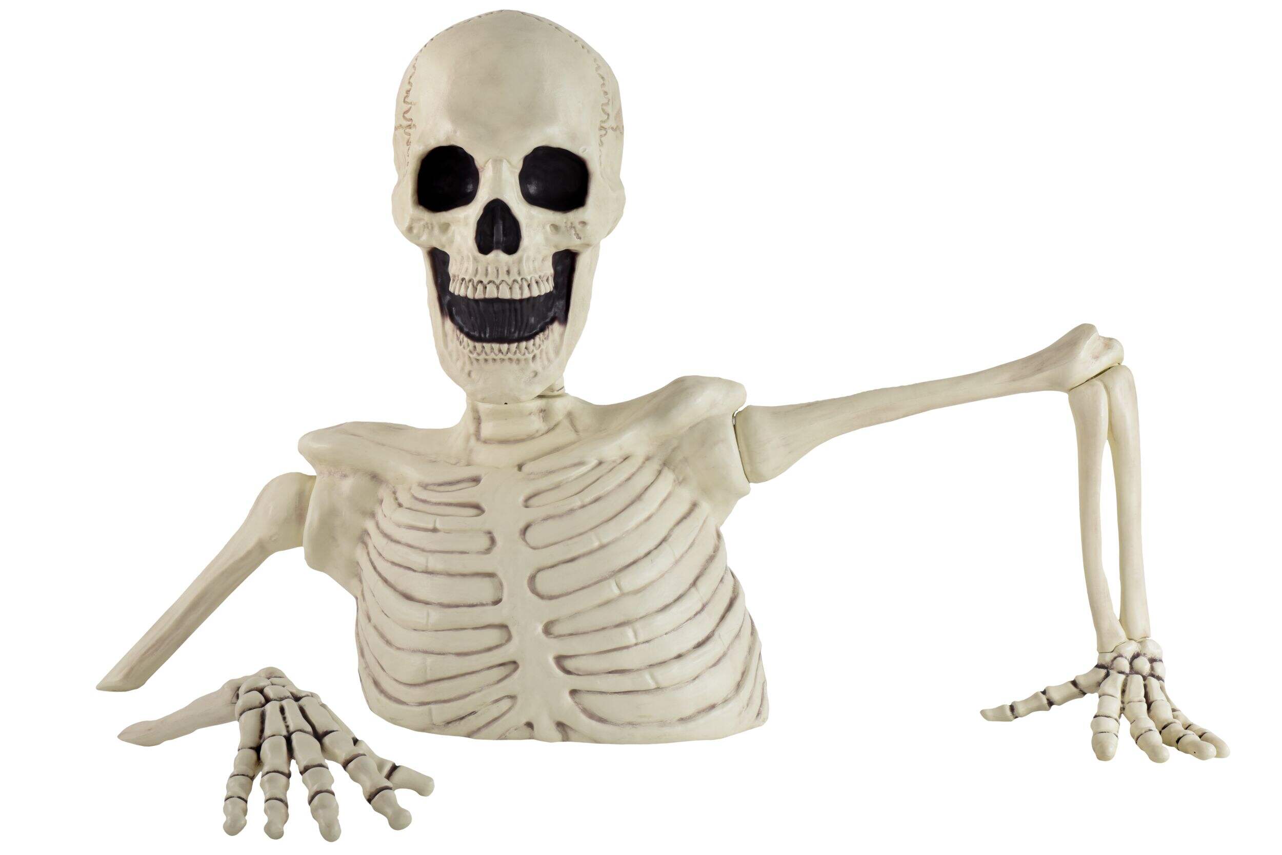 Skeleton Oversized Groundbreaker 48"