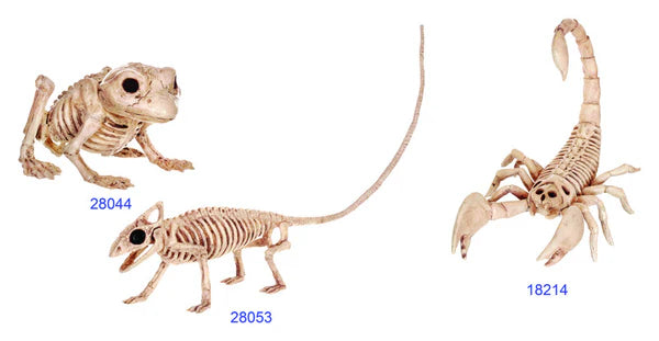 Mini Skeleton Creatures