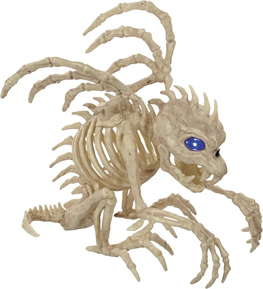 10" Skeleton Gargolye Light Up Eyes, Chest