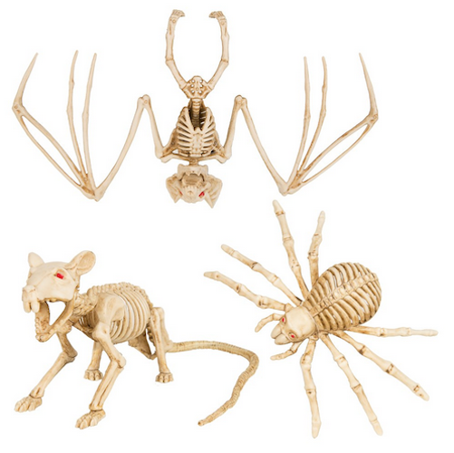 Mini Skeleton Asst Rat/Spider/Bat
