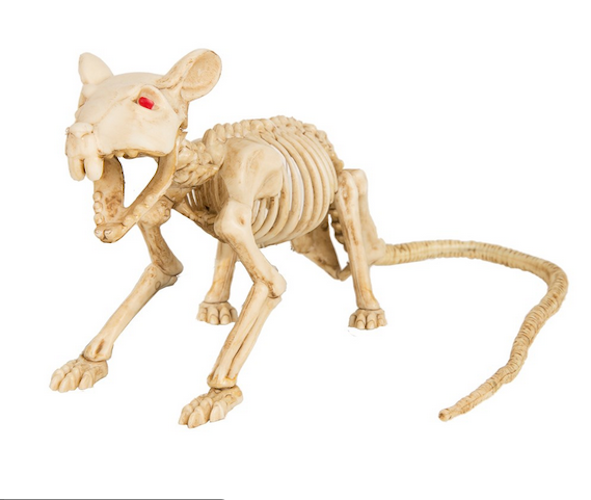 Mini Skeleton Asst Rat/Spider/Bat