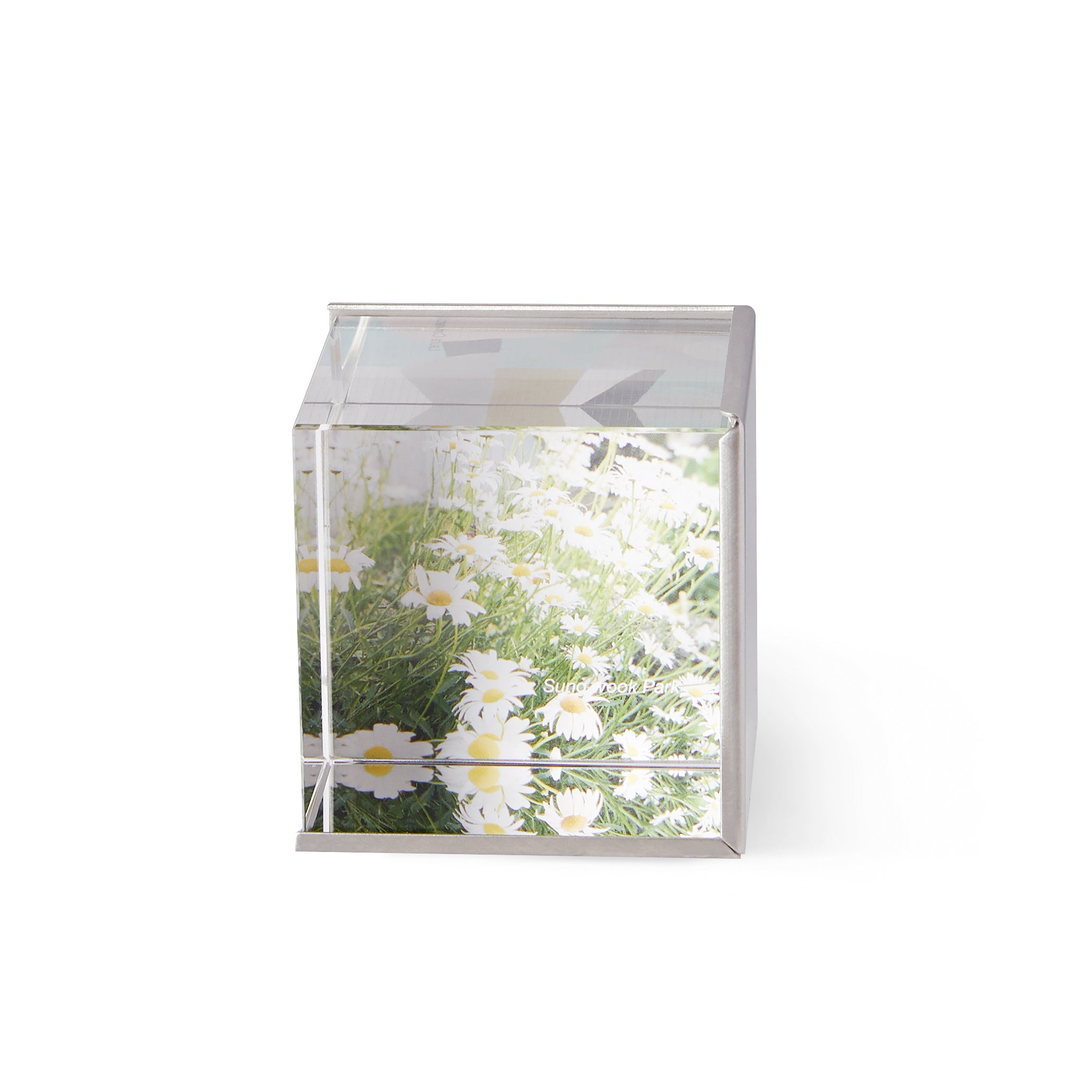 Ice Frame