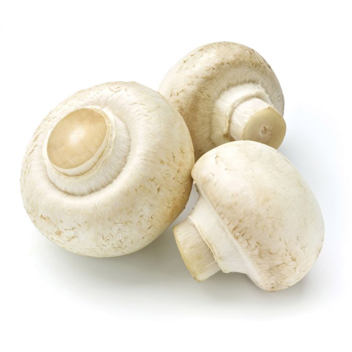 Mushroom Brush (CD)
