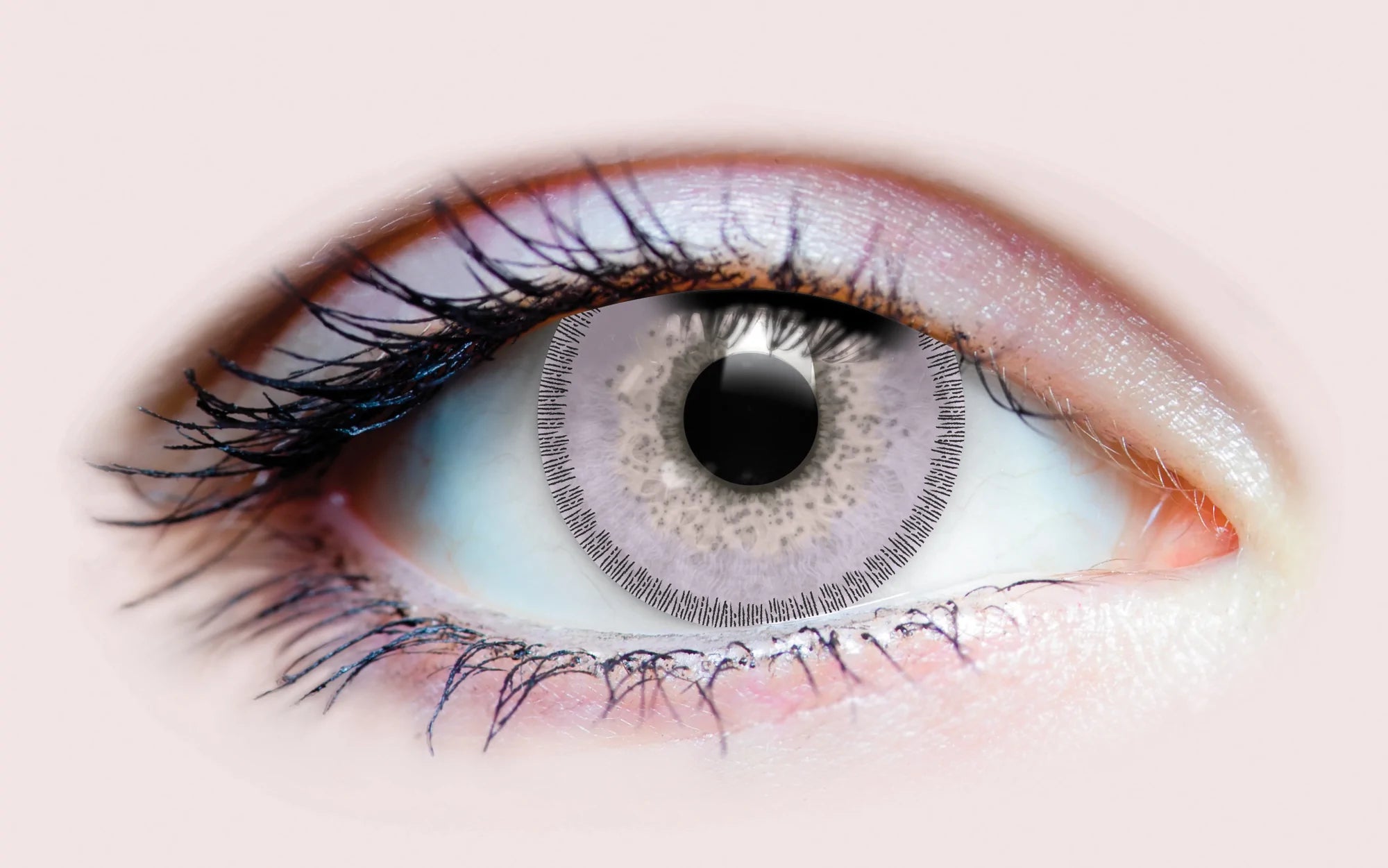BLISS LILAC CONTACT LENSES