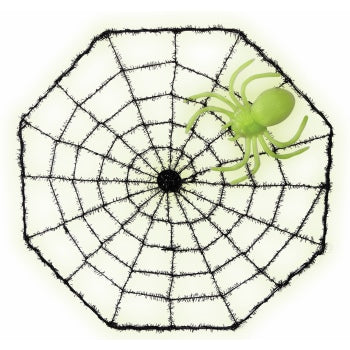 SPIDER WEB