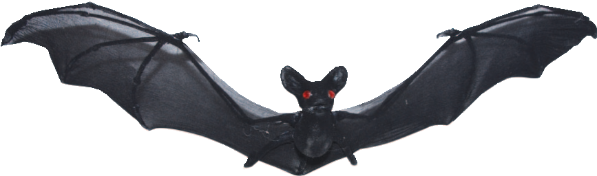 Black Nylon Bat