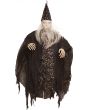 CELESTIAL WIZARD