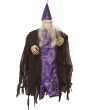 CELESTIAL WIZARD