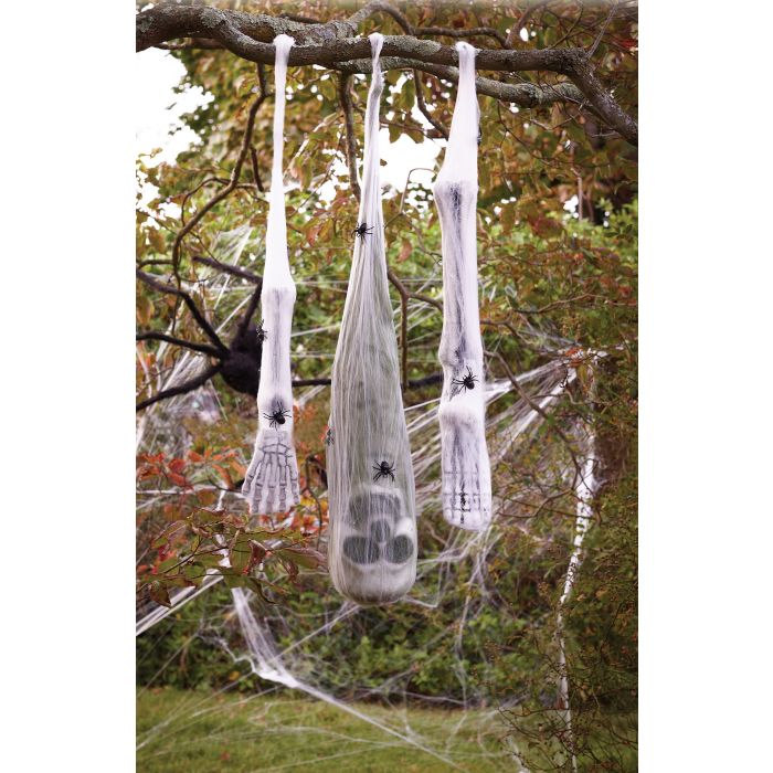 SPIDER COCOON VICTIM