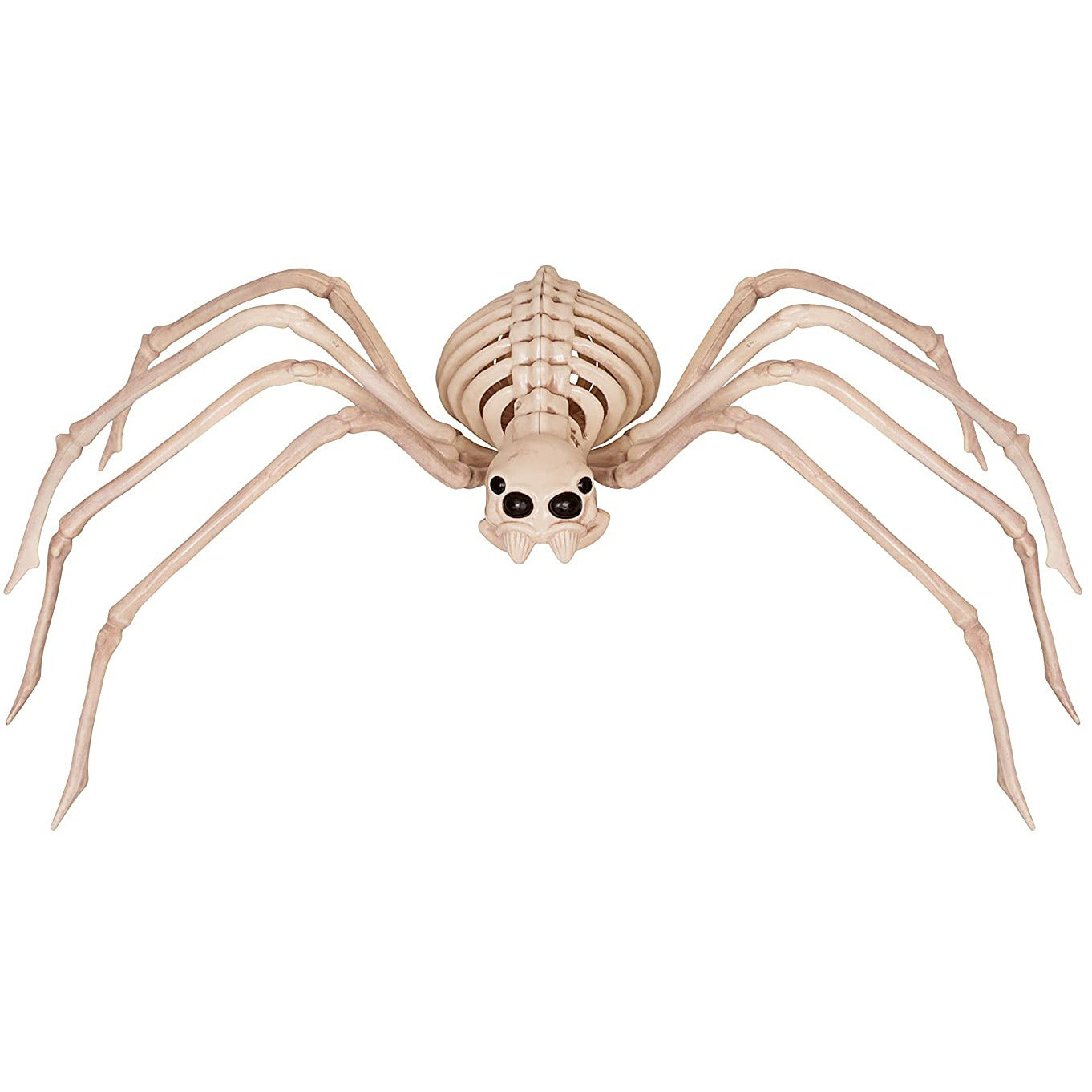 Skeleton Spider 13.75"