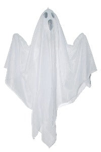 23 IN SHAING GHOST HANGING