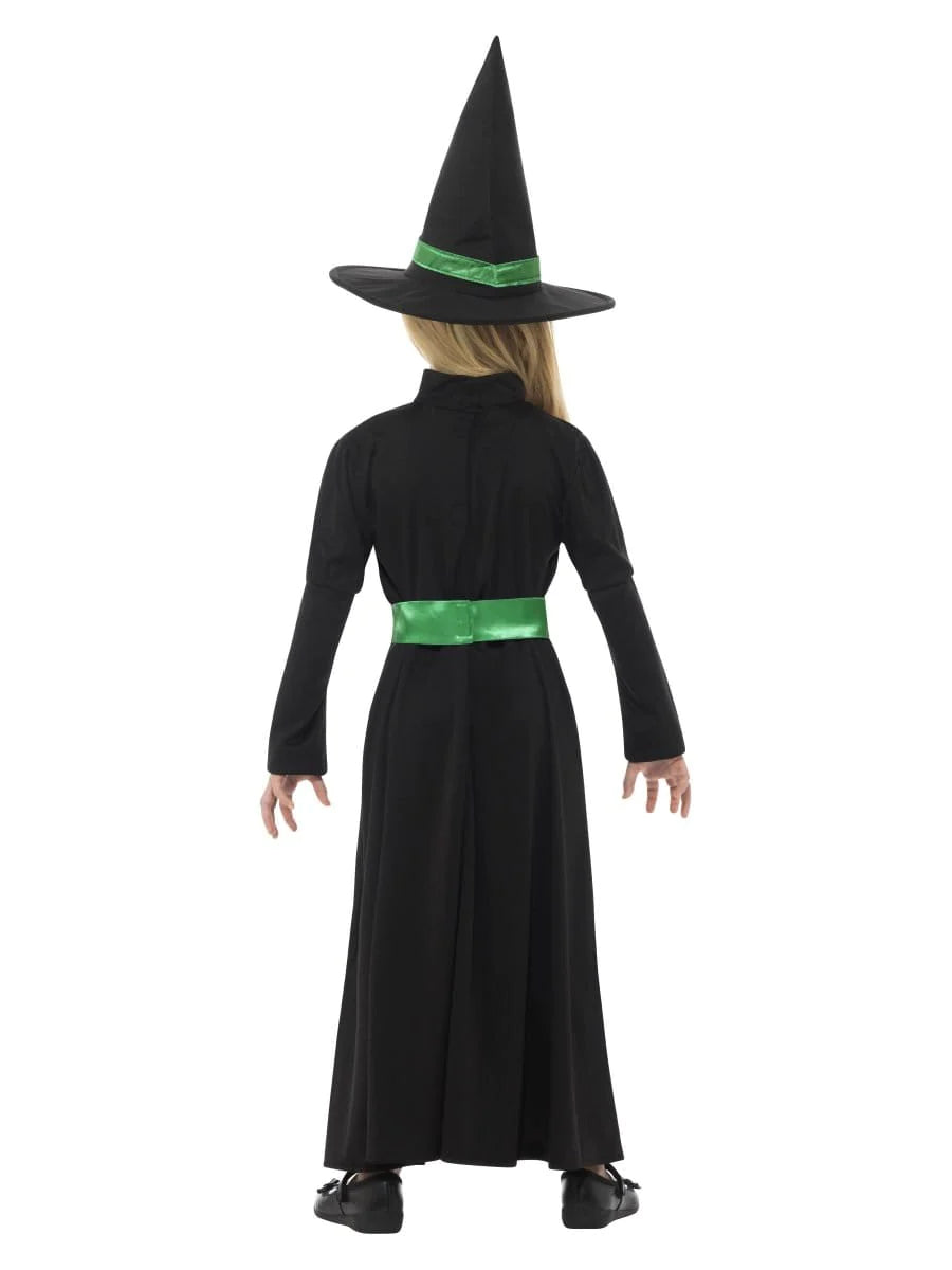 Wicked Witch Costume