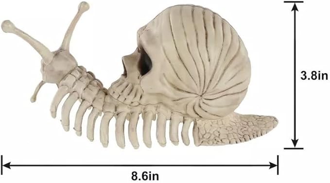 Skeleton Snail 3.75x8.5x4"