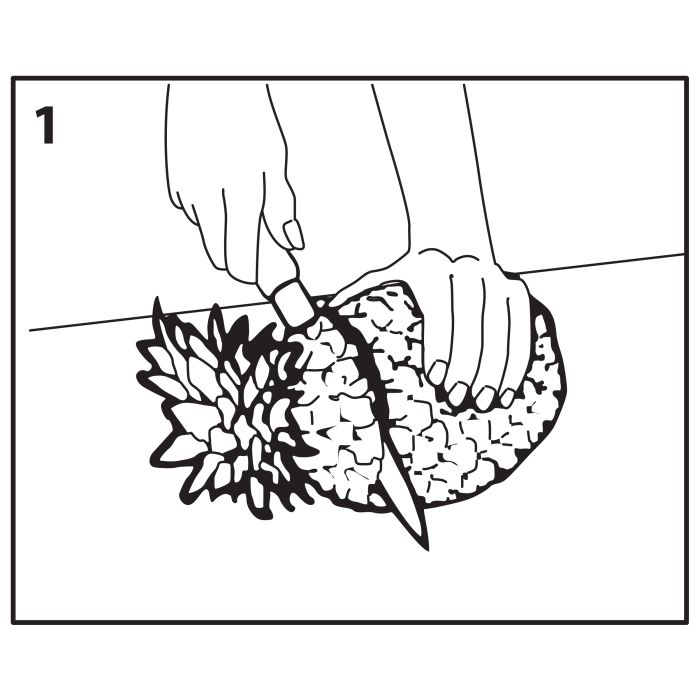 Pineapple Slicer and Corer