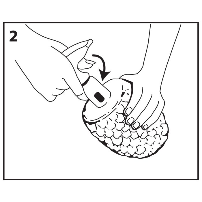 Pineapple Slicer and Corer