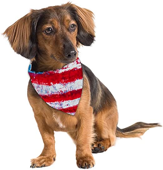 Stars & Stripes Bandana