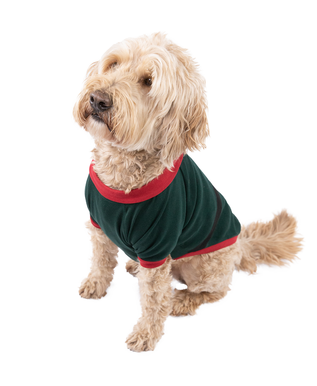 Elf Dog Shirt