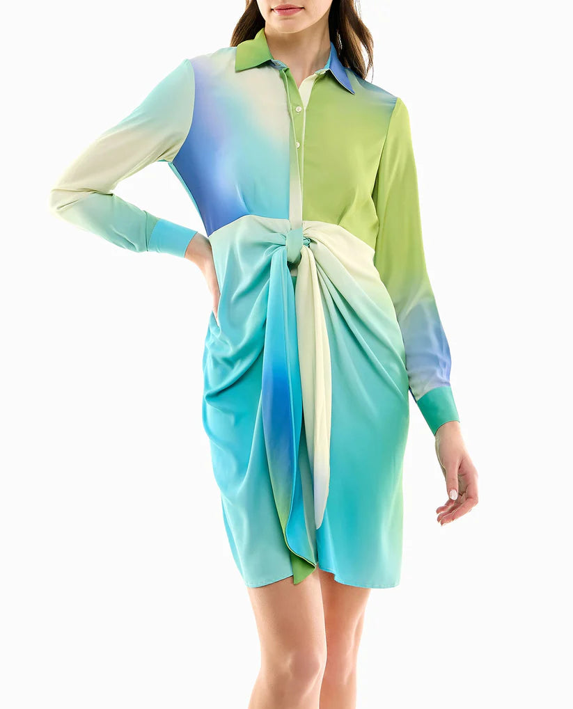 AUDREY SILK LONG SLEEVE SHIRT DRESS