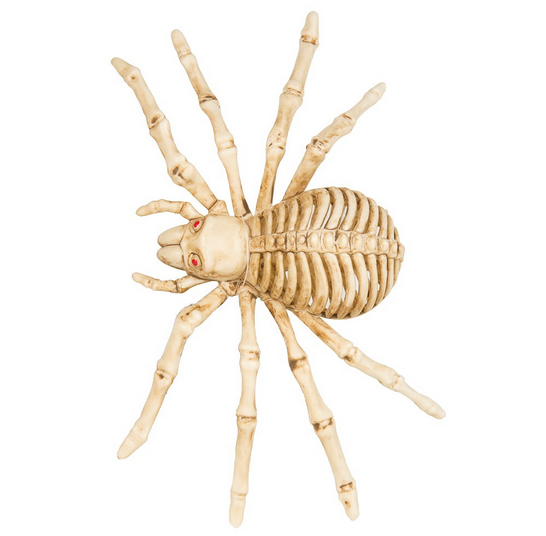 Mini Skeleton Asst Rat/Spider/Bat