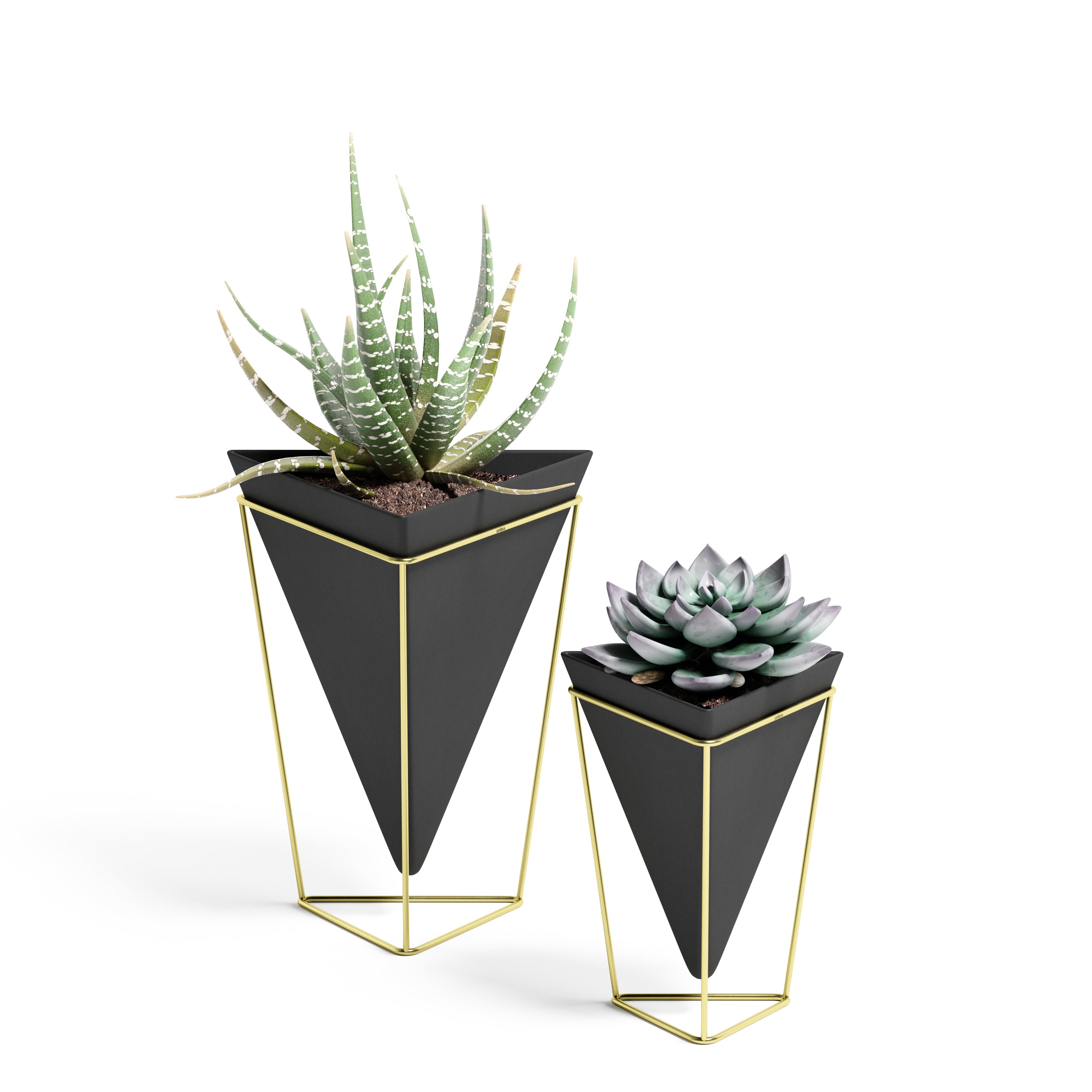 Trigg Tabletop Black / Brass