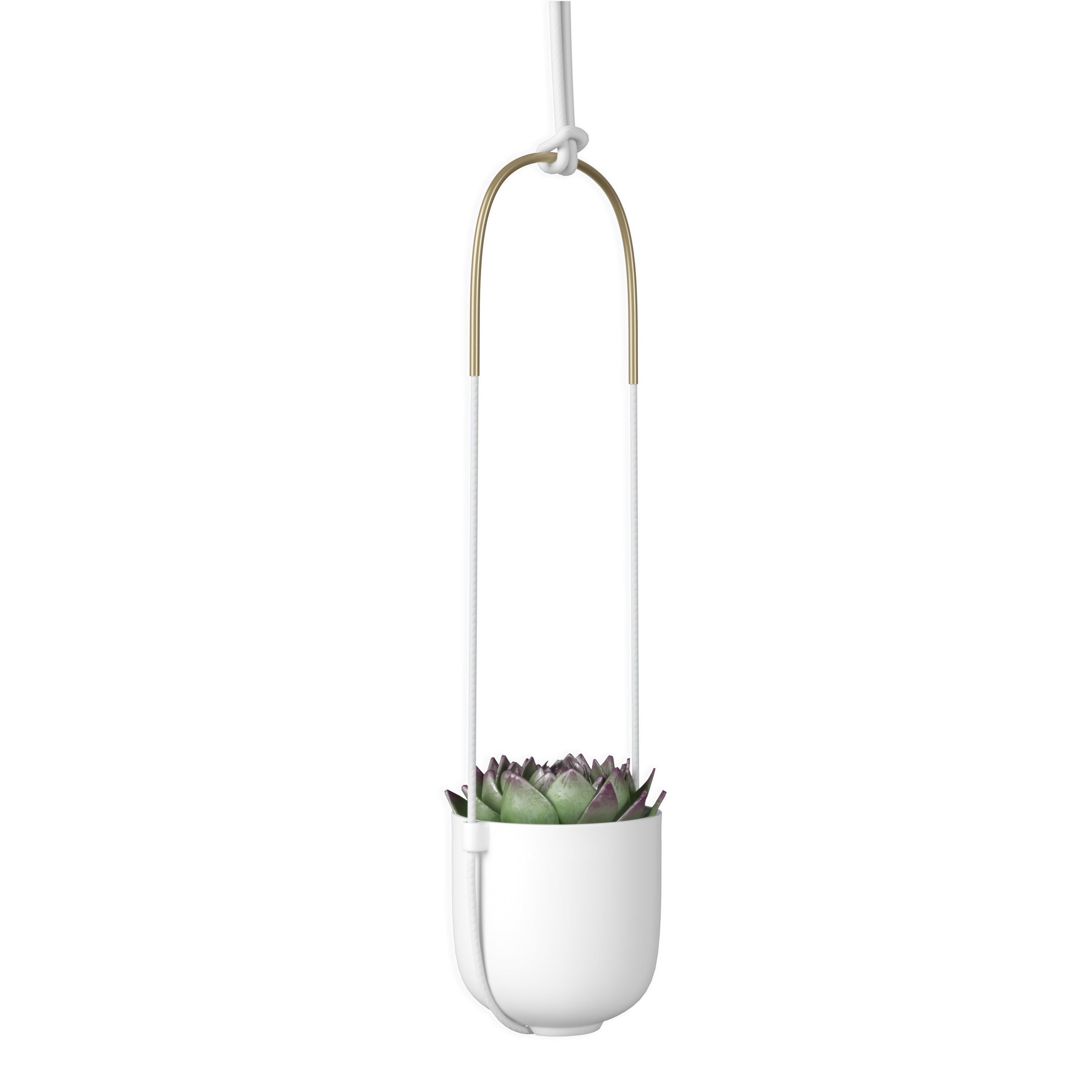 Bolo Hanging & Ceiling Planter