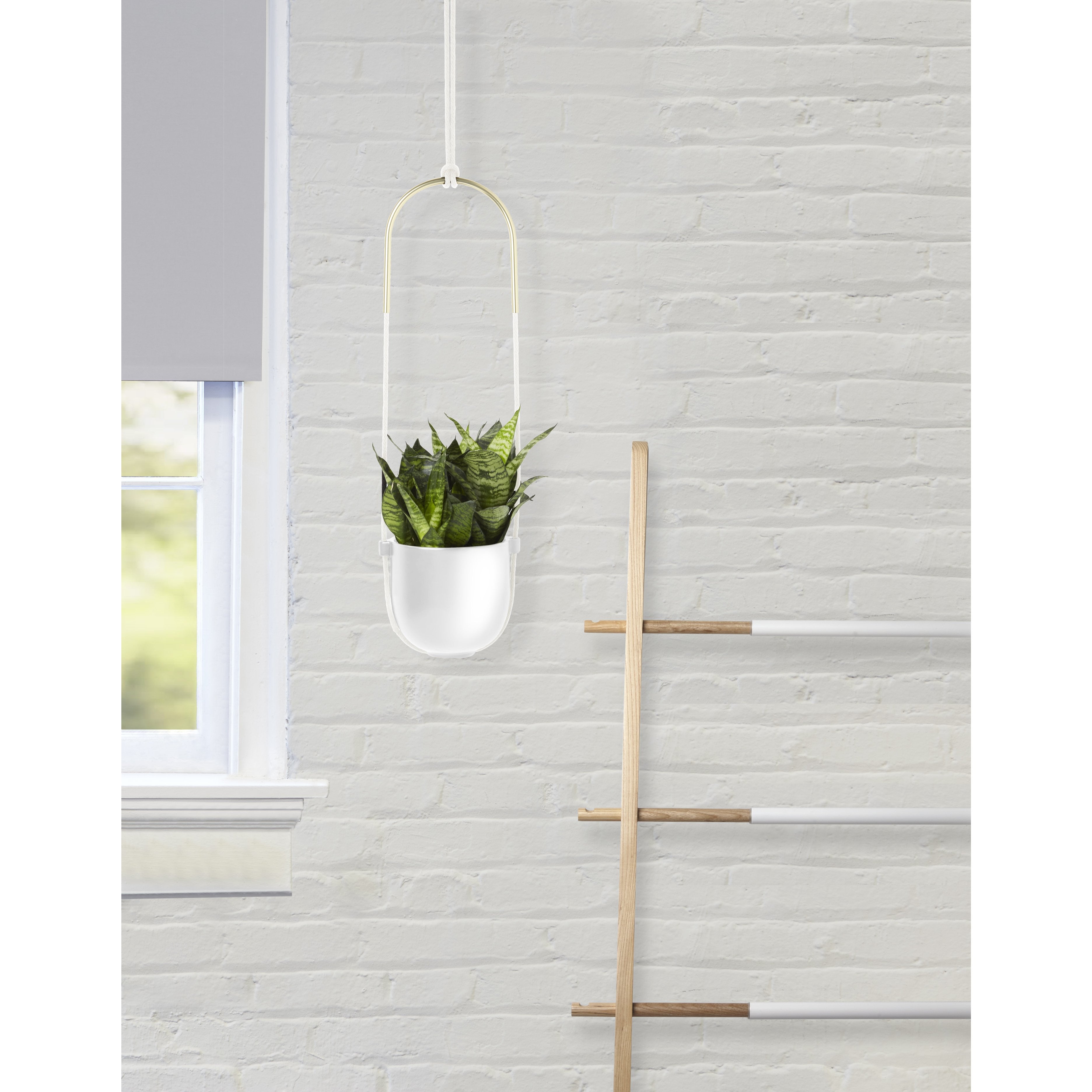 Bolo Hanging & Ceiling Planter