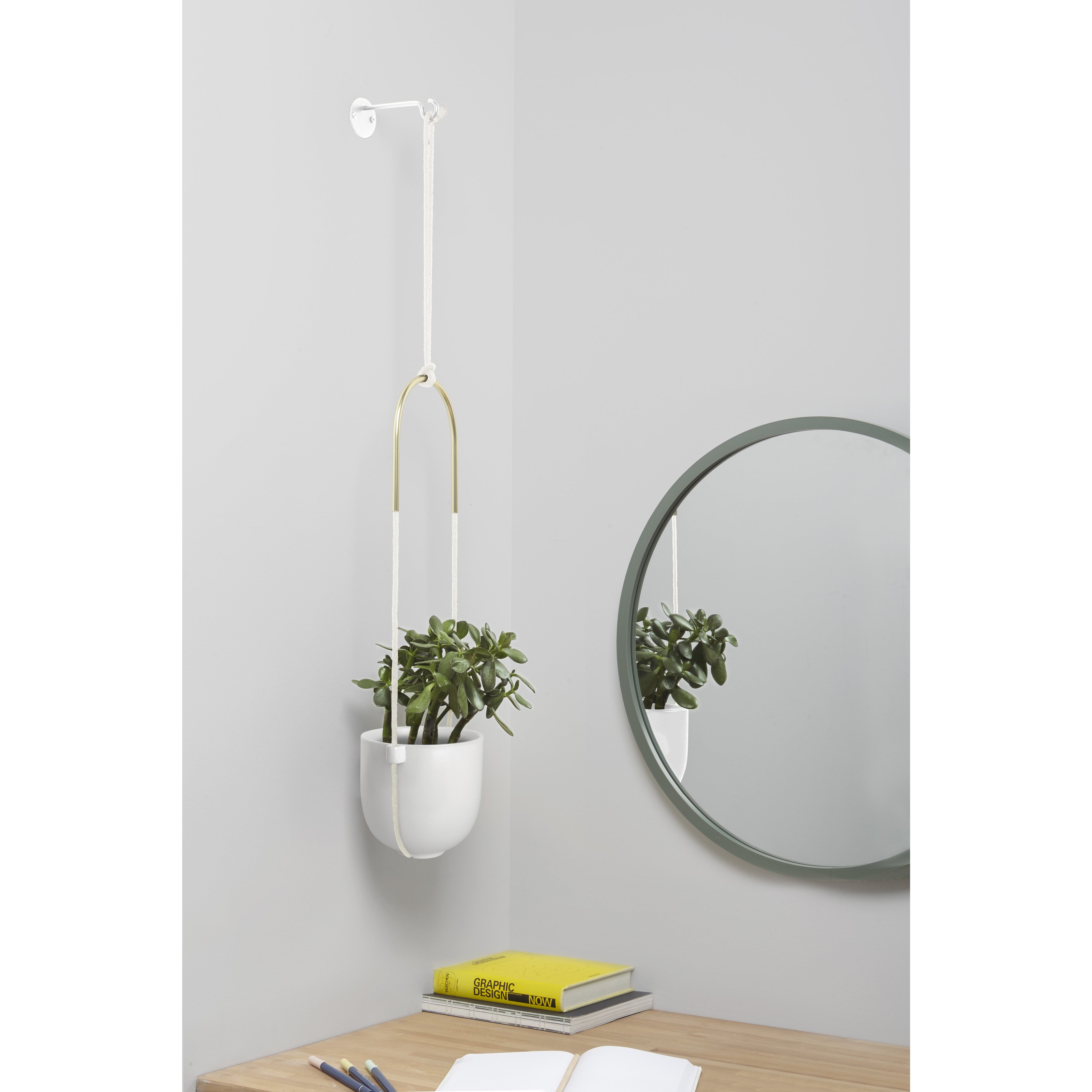 Bolo Hanging & Ceiling Planter