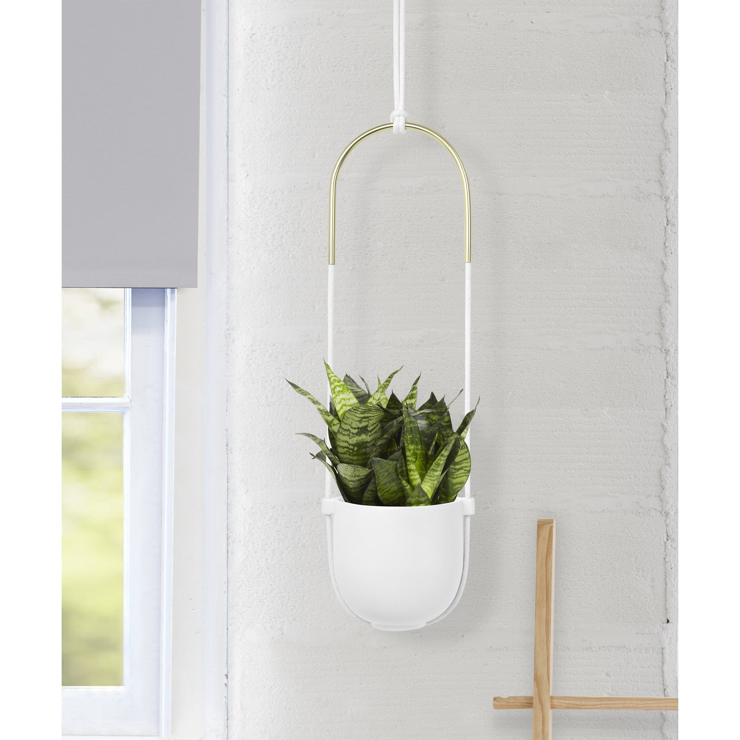 Bolo Hanging & Ceiling Planter