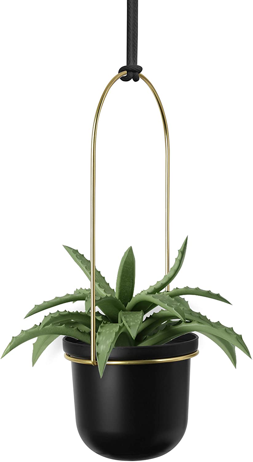 TRIFLORA  HANGING PLANTER BLACK /BRASS