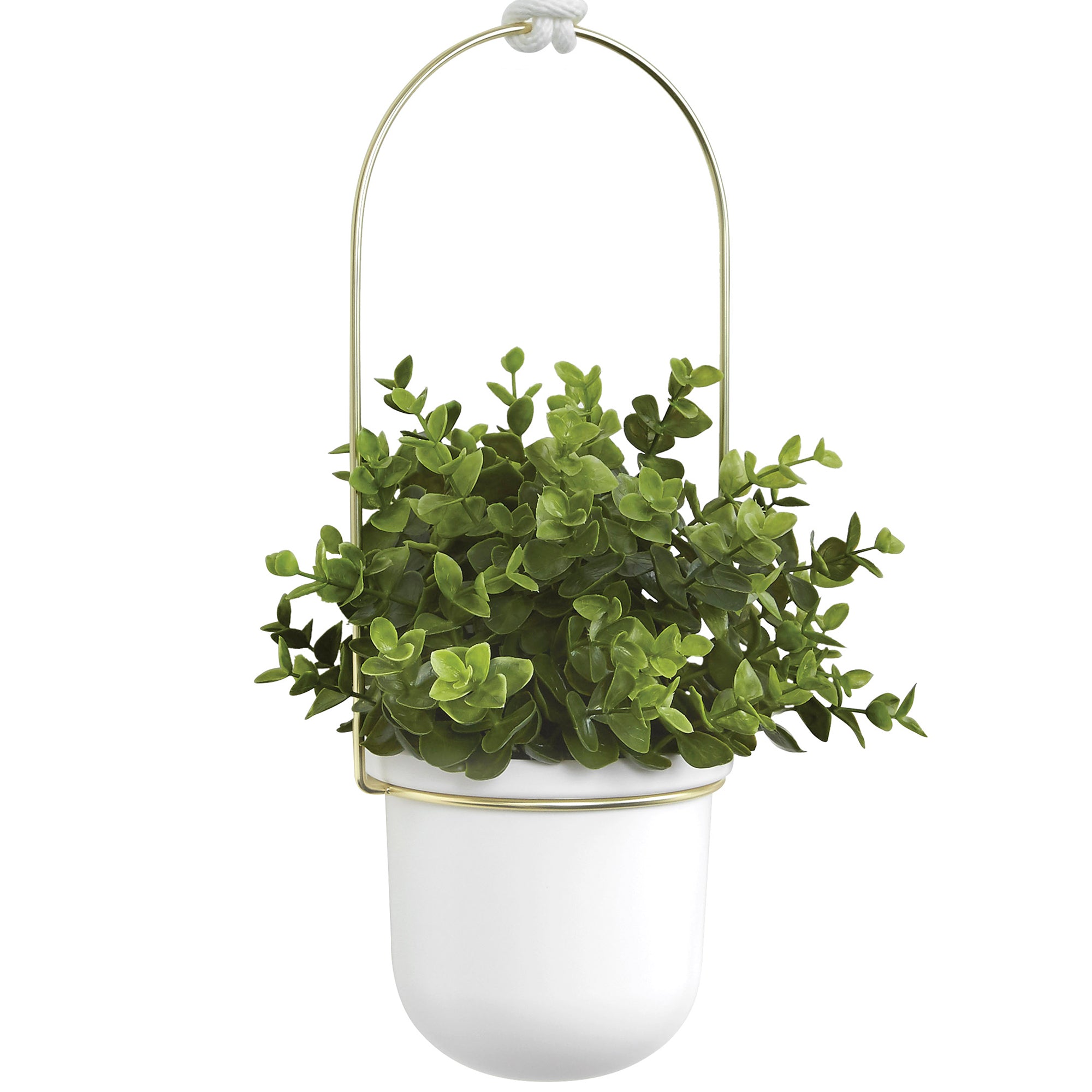 Triflora Hanging Planter System White/Brass