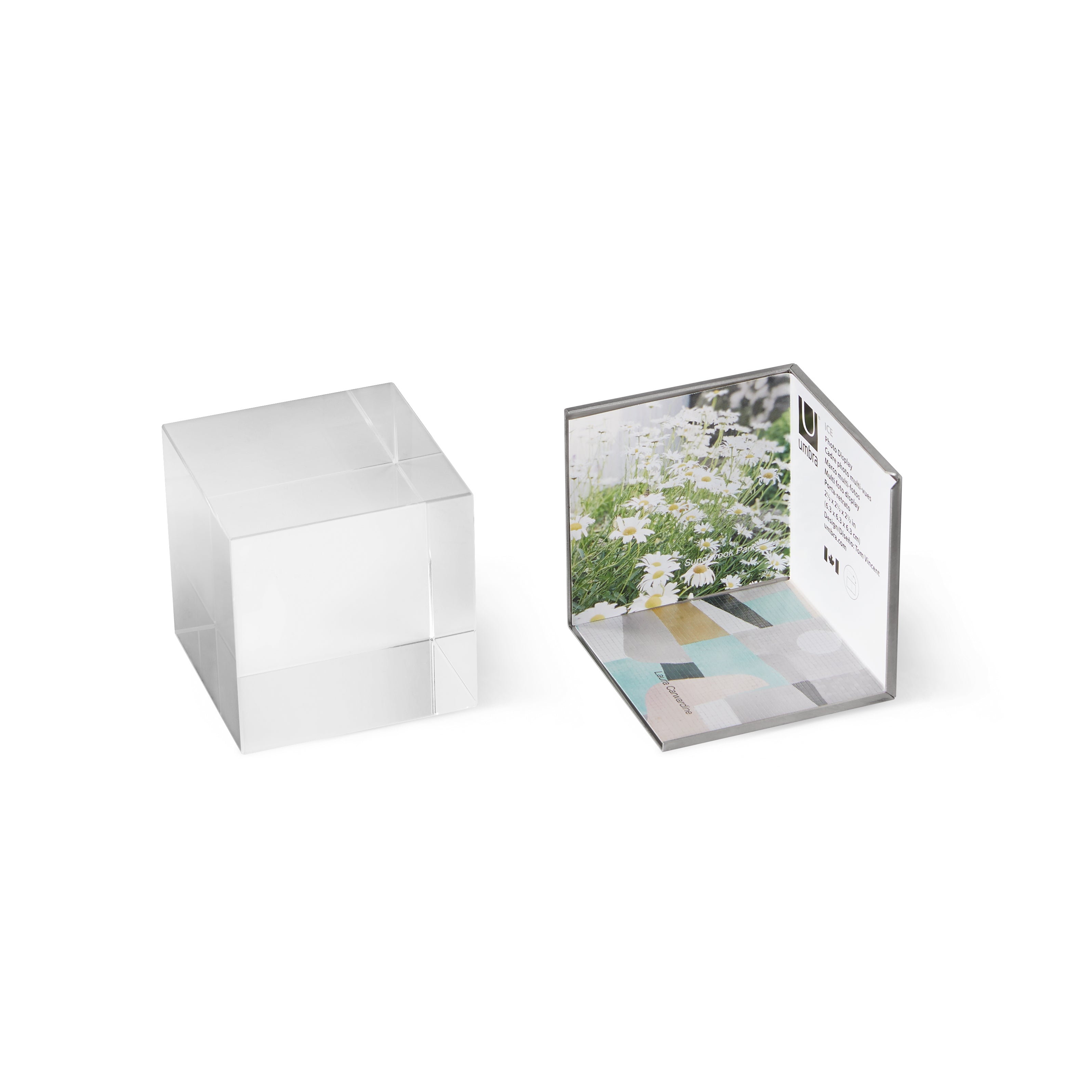Ice Frame