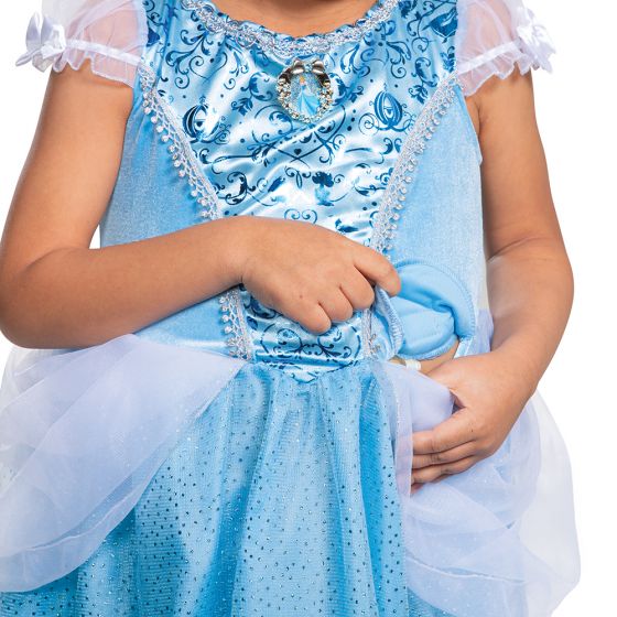 Cinderella Adaptive Costume