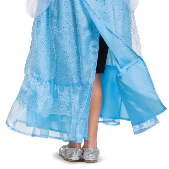 Cinderella Adaptive Costume