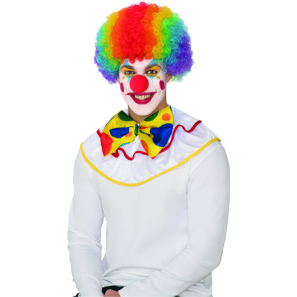 Deluxe clown kit