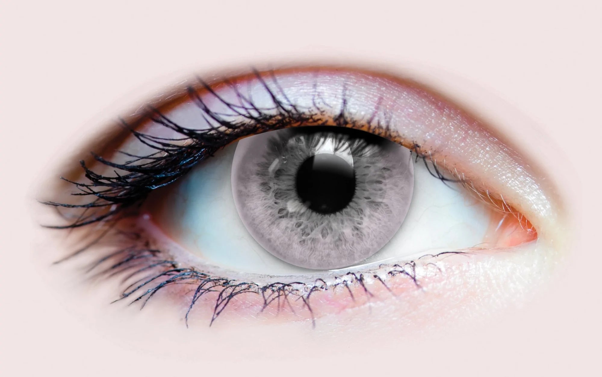 PURE LILAC CONTACT LENSES