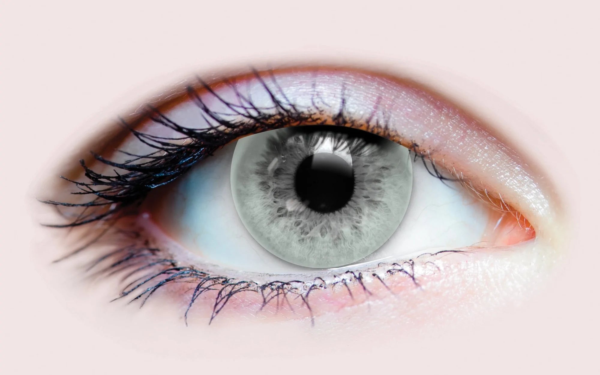PURE JADE CONTACT LENSES