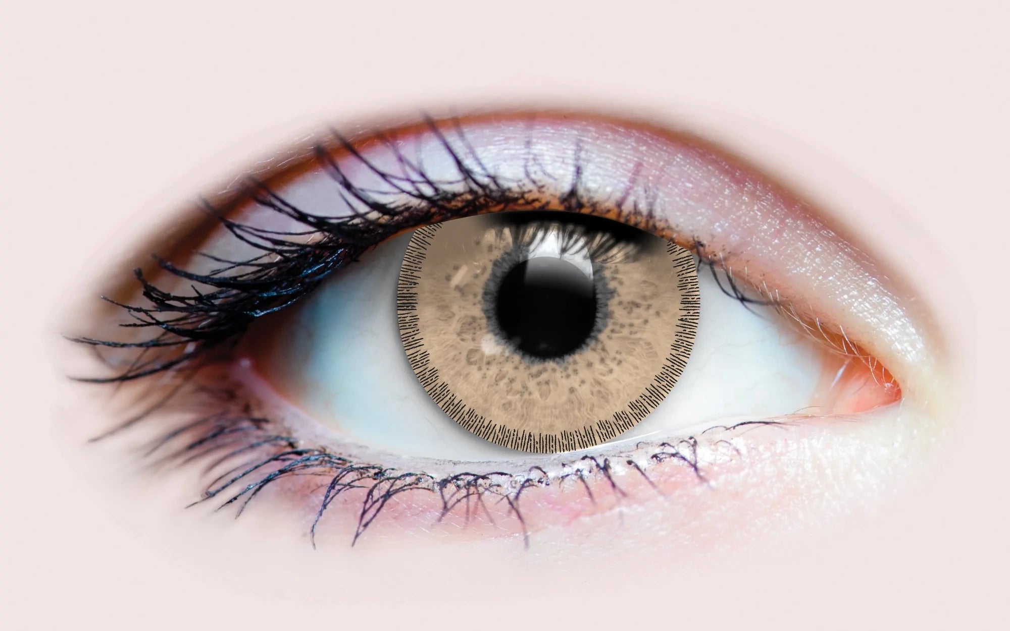 CHARM CHESTNUT CONTACT LENSES