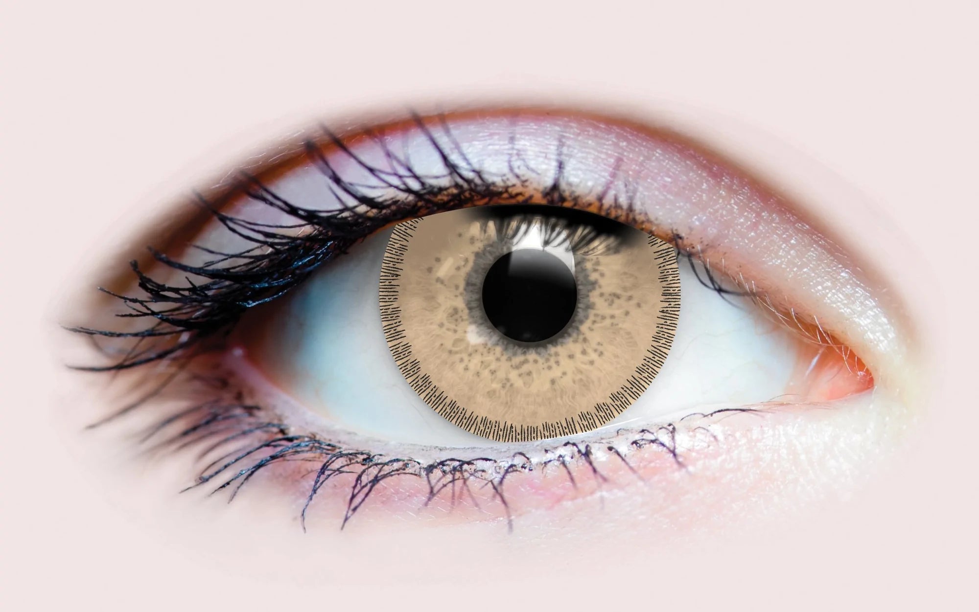 BLISS CHESTNUT CONTACT LENSES