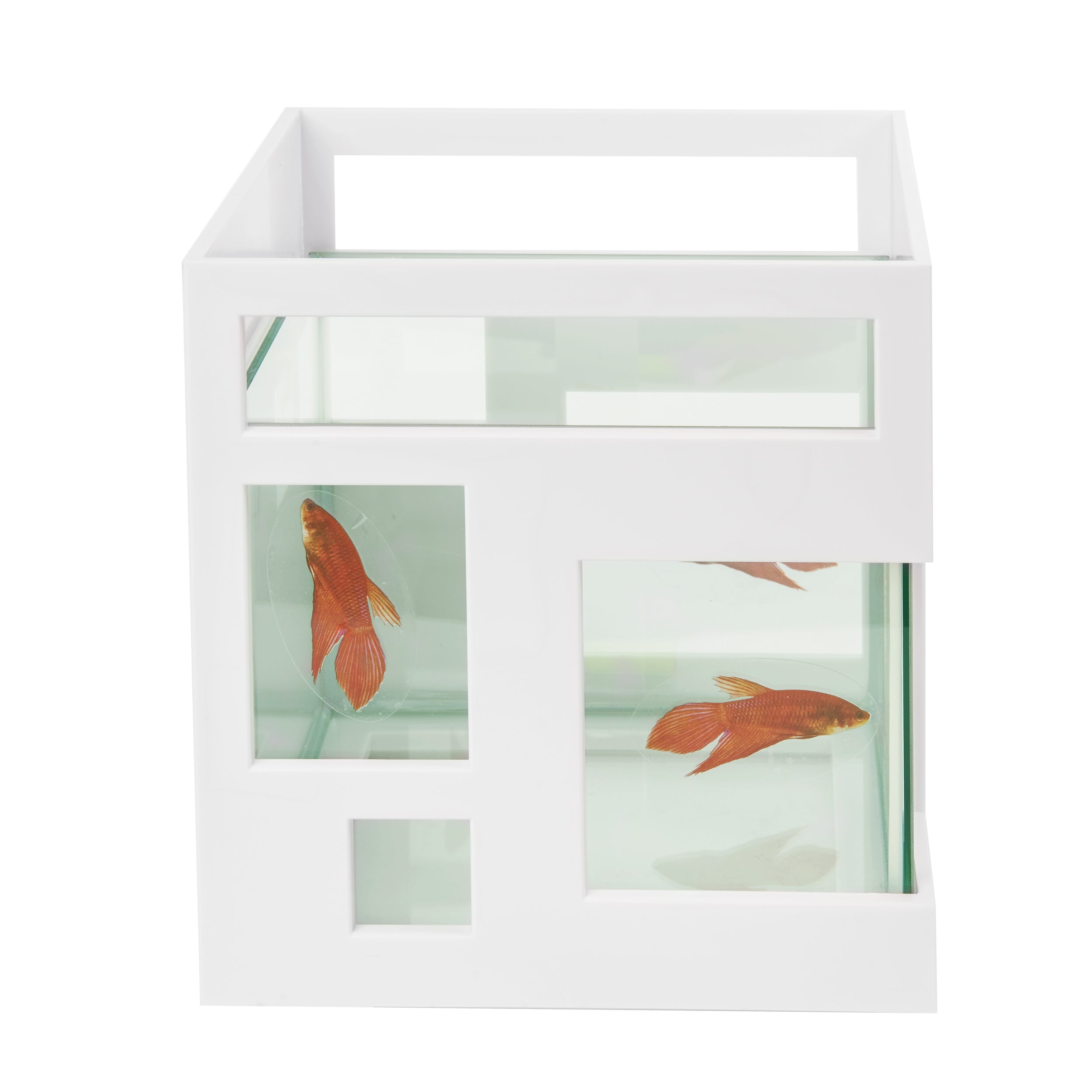 FISH HOTEL