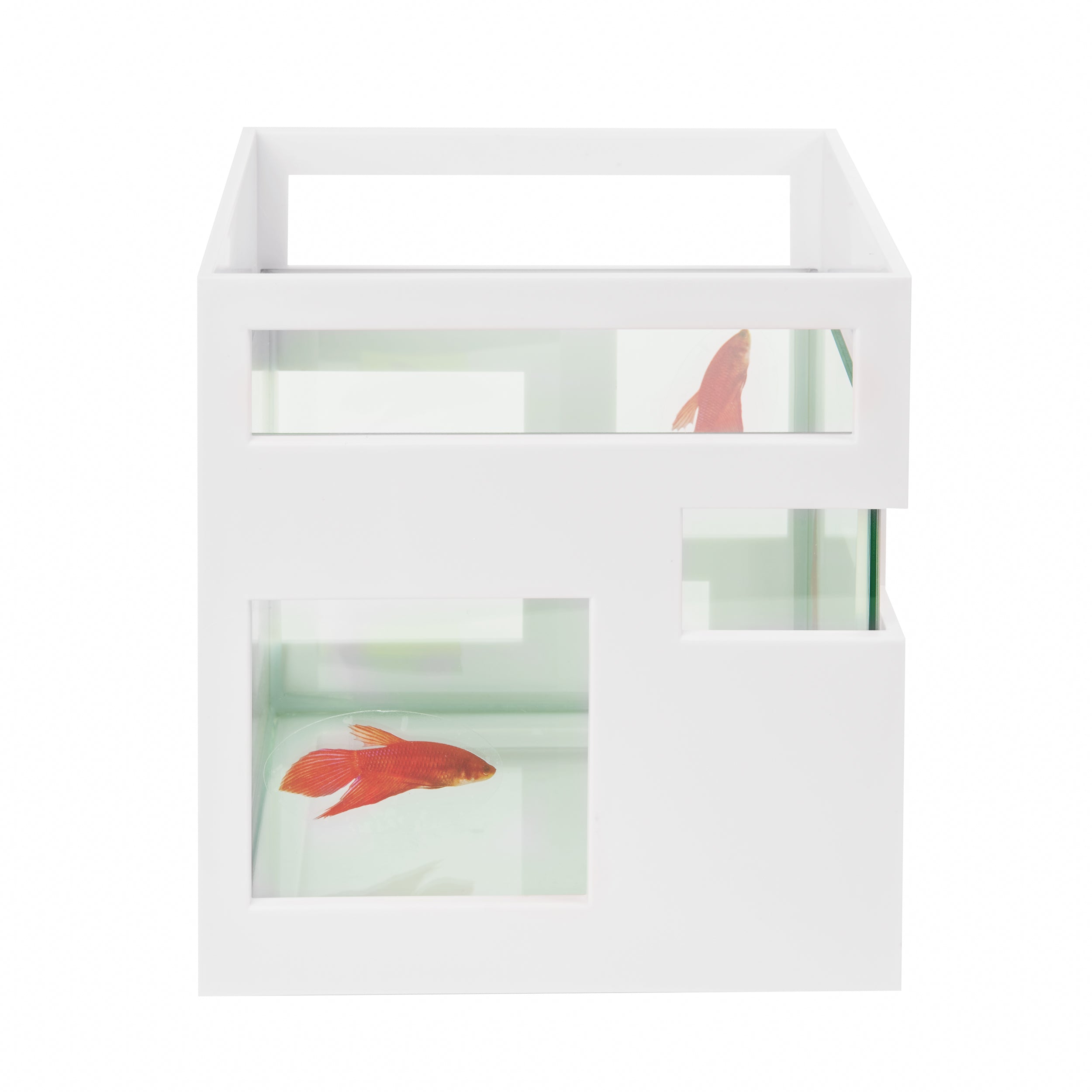 FISH HOTEL