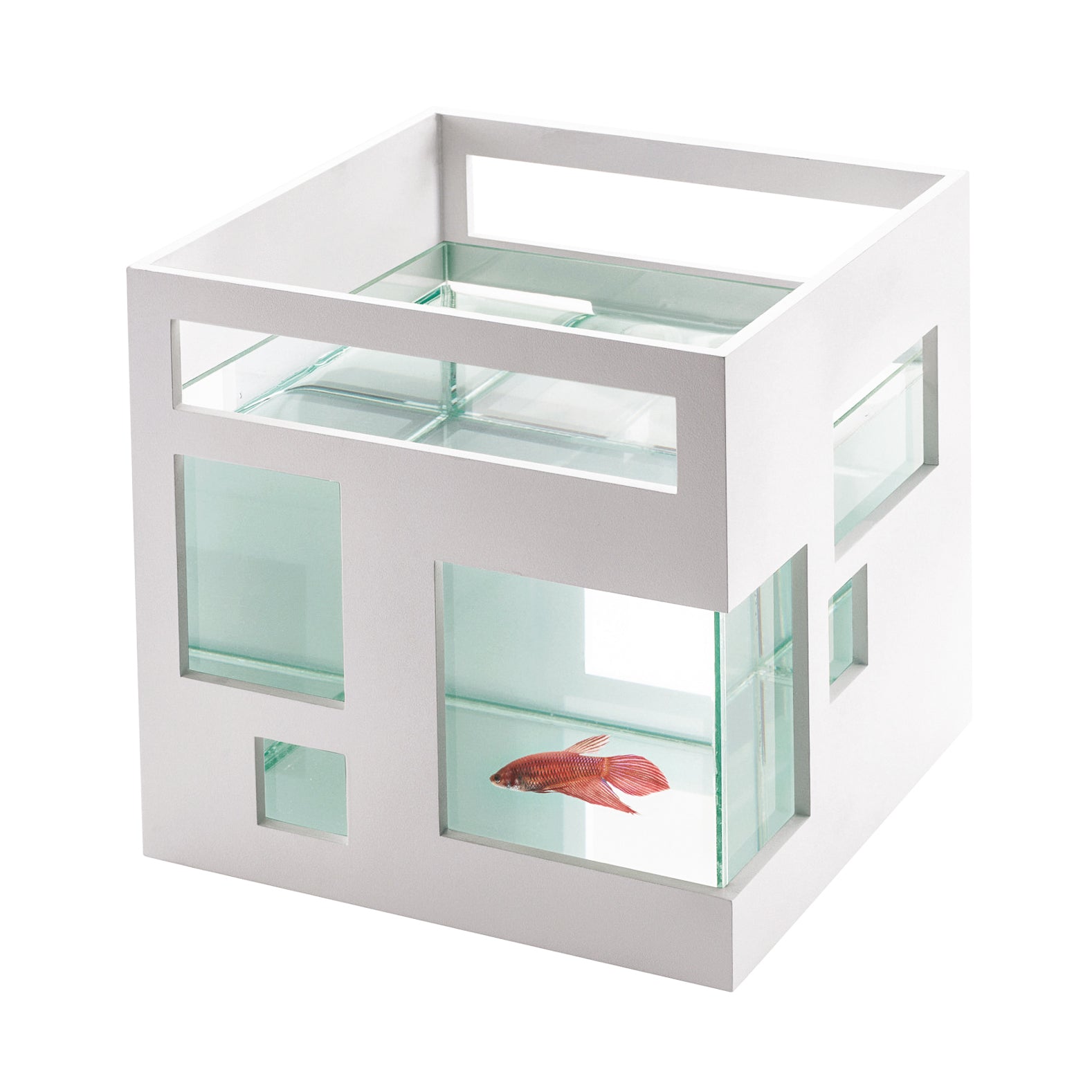 FISH HOTEL