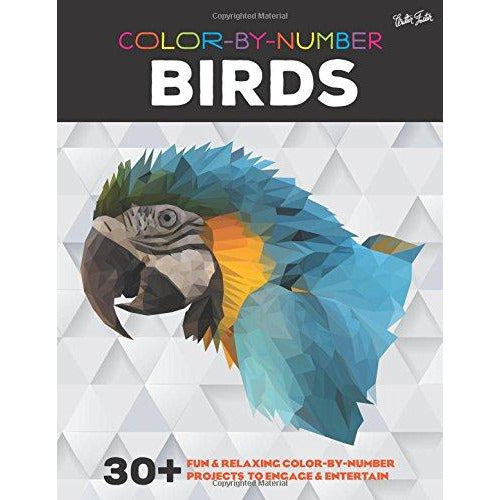 COLOR BY NUMBER BIRDS