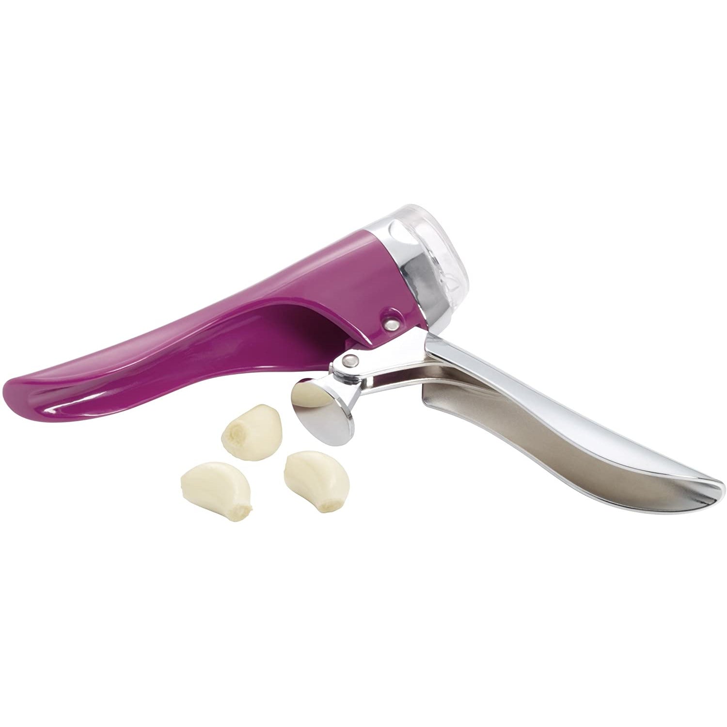 GARLIC PRESS PURPLE