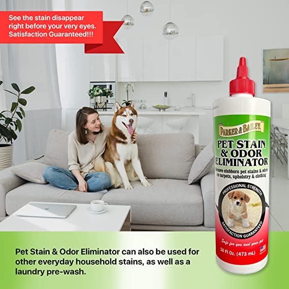 Pet Stain Remover 16oz